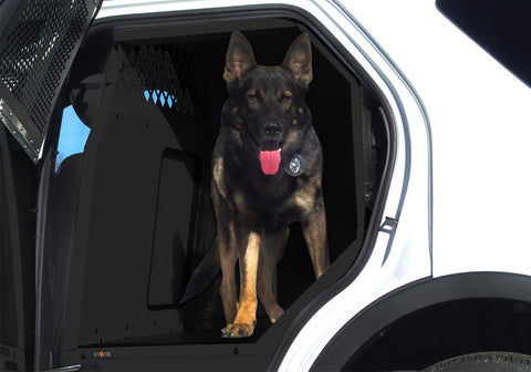 Havis K9-F18-PT-B 2013-2019 Ford Police Interceptor Utility Black K9 Prisoner Transport System. - Synergy Mounting Systems